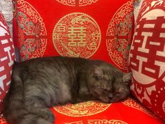 -元氏钵仔糕(北京路店)
