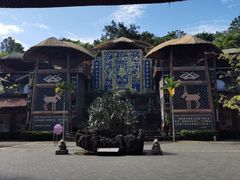 -海南槟榔谷黎苗文化旅游区