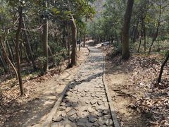 -上海佘山国家森林公园天马山园