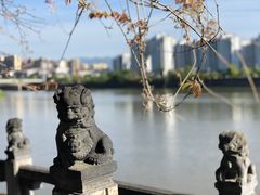 -临街徽菜馆·正宗黄山味