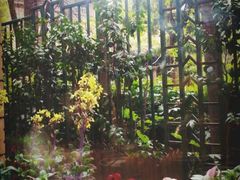 衡山马勒别墅饭店-马勒别墅饭店(静安寺店)