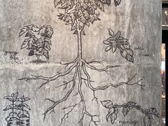 -星巴克(珠海摩尔百货店)