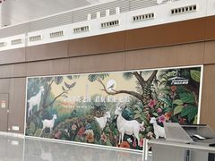 -广州白云国际机场-T2航站楼