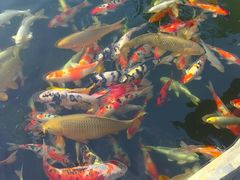 -宝泉胜境旅游度假区