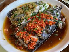 剁椒鱼头-贺记湘菜馆(东体育会路店)