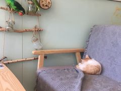 -平行世界·猫咖(首经贸店)