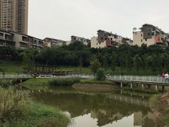 -沐仙湖湿地公园