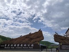 -茅兰沟国家森林公园