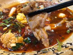 -芙蓉树下冒菜·麻辣烫(农院店)