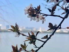 -艾溪湖湿地公园
