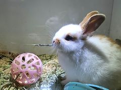 -老味道1992(武当山店)