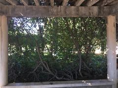 -新竹里馆·花园餐厅(兴苑路店)