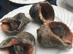-大连富丽华大酒店·花都西餐厅