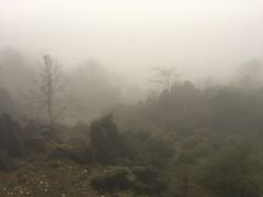 -千岛湖石林