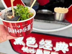 -黑色经典臭豆腐·湖南特产(坡子街店)