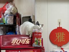 -杨记杏仁茶(椰园店)