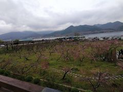 -河口景区