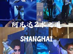 -SFC上影影城(港汇永华IMAX激光店)