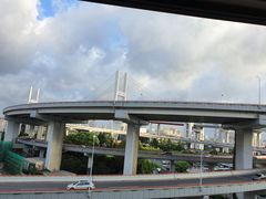 -BUS TOUR观光巴士