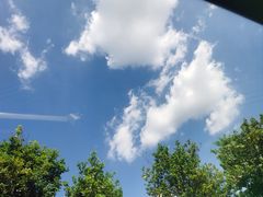 -采蝶轩(明珠商业广场店)