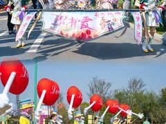 -荷兰花海