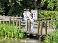 -得丘礼享谷·玉兰苑