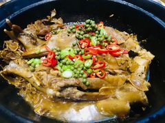 青花椒姜母鸭-厝小满.姜母鸭/泉州菜(桥南店)
