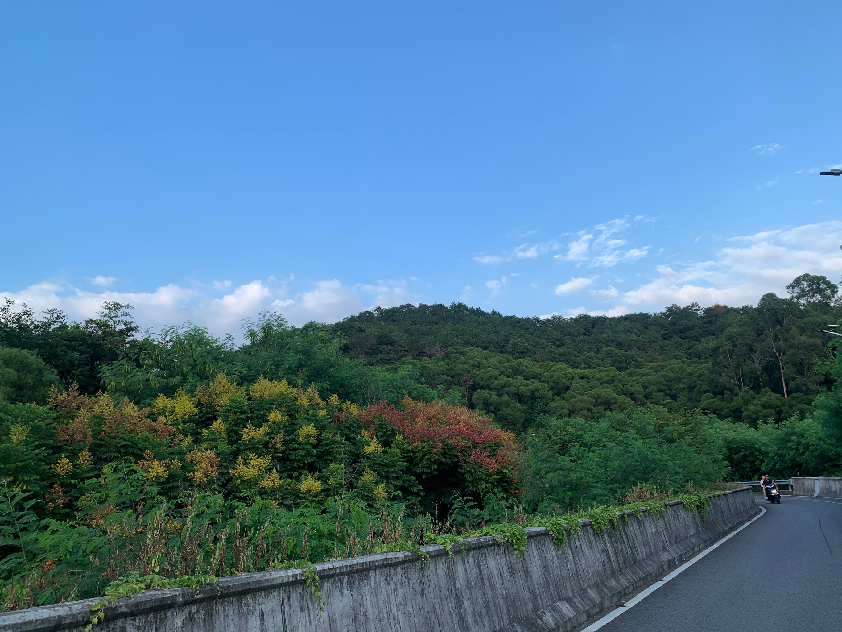 蔡尖尾山2号隧道地图图片