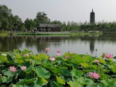 -西海子公园