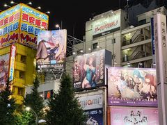 -秋叶原电器街