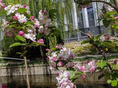 -元大都城垣遗址公园