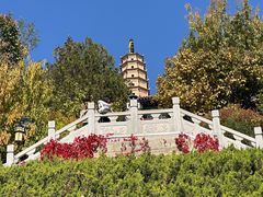 -白塔山公园