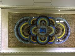 -上海昆虫博物馆