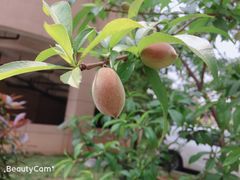 -艾溪湖湿地公园