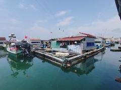 -蓝湾碧波·老字号·疍家非遗海上餐厅