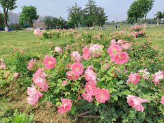 -汉长安城未央宫国家考古遗址公园