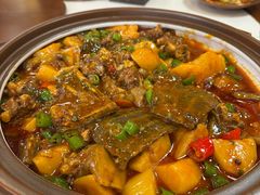 -青城甲(青城山店)