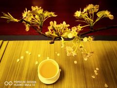 -白鹭原茶艺馆