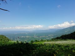 -齐岳山