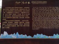 -陕西省红河谷森林公园