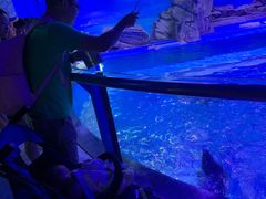 -上海海昌海洋公园-停车场