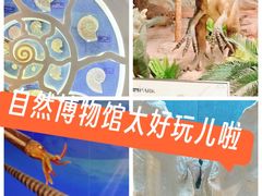 -国家自然博物馆