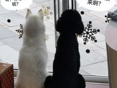 -萌兽医馆·眼科·异宠专科(三里屯店)