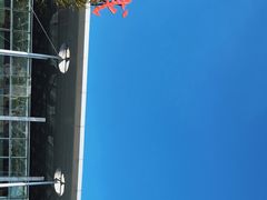 -威海大水泊国际机场