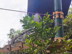 -芦仙山景区-飞越丛林探险乐园