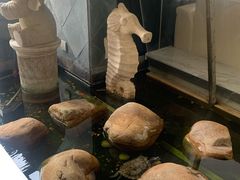 -乐尚音乐空间·钢琴·声乐·架子鼓(会展中心店)