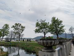 -西山漾湿地公园