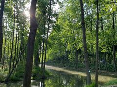 -合肥滨湖国家森林公园