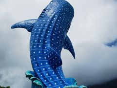 -珠海长隆海洋王国