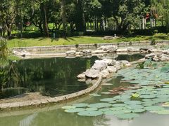 -四海公园(南山区)